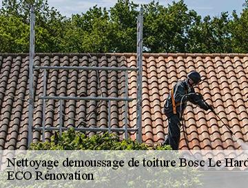 Nettoyage demoussage de toiture  bosc-le-hard-76850 ECO Rénovation