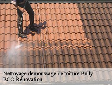 Nettoyage demoussage de toiture  bully-76270 ECO Rénovation