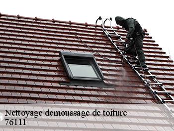 Nettoyage demoussage de toiture  criquebeuf-en-caux-76111 ED couverture