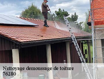 Nettoyage demoussage de toiture  criquetot-l-esneval-76280 ECO Rénovation