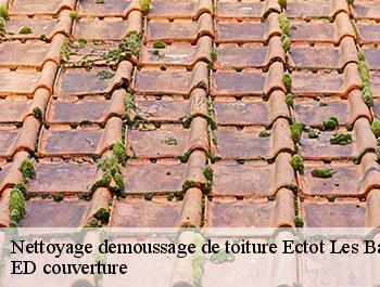 Nettoyage demoussage de toiture  ectot-les-baons-76970 ED couverture