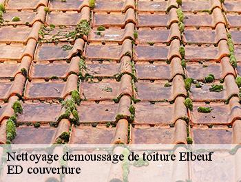 Nettoyage demoussage de toiture  elbeuf-76500 ED couverture