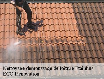 Nettoyage demoussage de toiture  etainhus-76430 ECO Rénovation