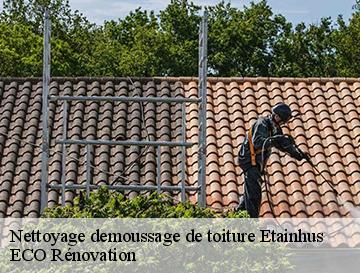 Nettoyage demoussage de toiture  etainhus-76430 ECO Rénovation