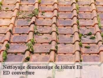 Nettoyage demoussage de toiture  eu-76260 ED couverture