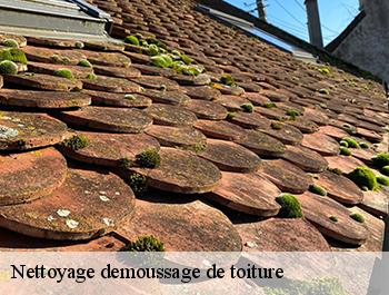 Nettoyage demoussage de toiture  fontaine-le-bourg-76690 ED couverture