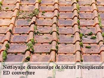 Nettoyage demoussage de toiture  fresquiennes-76570 ED couverture