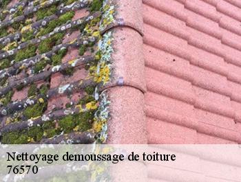 Nettoyage demoussage de toiture  fresquiennes-76570 ED couverture