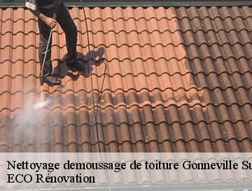 Nettoyage demoussage de toiture  gonneville-sur-scie-76590 ECO Rénovation