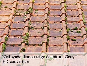 Nettoyage demoussage de toiture  gouy-76520 ED couverture