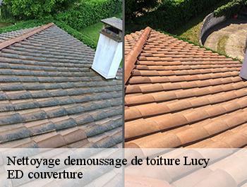 Nettoyage demoussage de toiture  lucy-76270 ED couverture