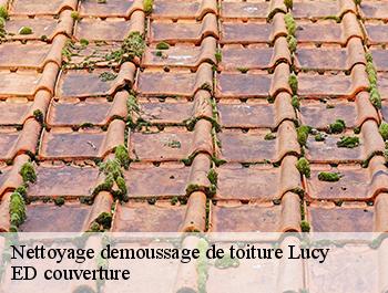 Nettoyage demoussage de toiture  lucy-76270 ED couverture