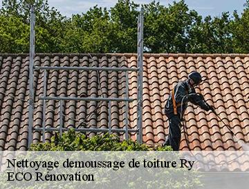 Nettoyage demoussage de toiture  ry-76116 ECO Rénovation