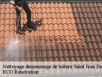 Nettoyage demoussage de toiture  saint-jean-de-folleville-76170 ECO Rénovation