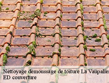 Nettoyage demoussage de toiture  la-vaupaliere-76150 ED couverture