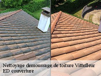 Nettoyage demoussage de toiture  vittefleur-76450 ED couverture