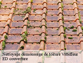 Nettoyage demoussage de toiture  vittefleur-76450 ED couverture