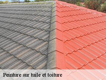 Peinture sur tuile et toiture  allouville-bellefosse-76190 ED couverture