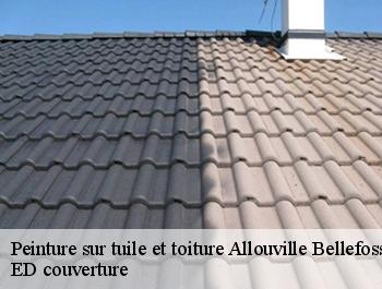 Peinture sur tuile et toiture  allouville-bellefosse-76190 ED couverture