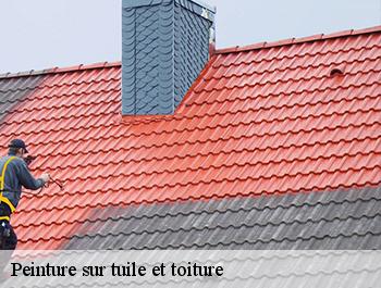 Peinture sur tuile et toiture  allouville-bellefosse-76190 ED couverture