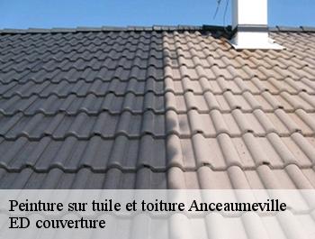 Peinture sur tuile et toiture  anceaumeville-76710 ED couverture