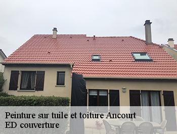 Peinture sur tuile et toiture  ancourt-76370 ED couverture