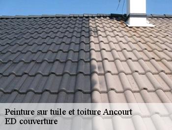 Peinture sur tuile et toiture  ancourt-76370 ED couverture