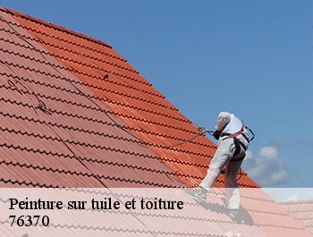 Peinture sur tuile et toiture  ancourt-76370 ED couverture