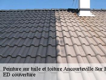 Peinture sur tuile et toiture  ancourteville-sur-hericou-76560 ED couverture