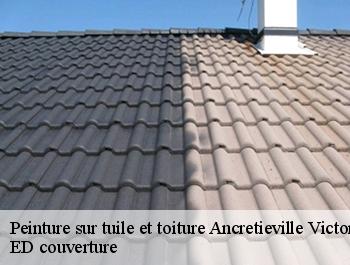 Peinture sur tuile et toiture  ancretieville-victor-76760 ED couverture