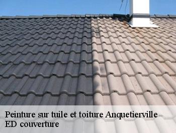 Peinture sur tuile et toiture  anquetierville-76490 ED couverture