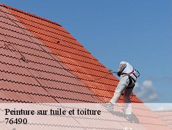 Peinture sur tuile et toiture  anquetierville-76490 ED couverture