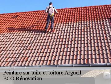 Peinture sur tuile et toiture  argueil-76780 ECO Rénovation