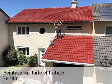 Peinture sur tuile et toiture  argueil-76780 ECO Rénovation