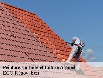 Peinture sur tuile et toiture  argueil-76780 ECO Rénovation