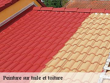 Peinture sur tuile et toiture  argueil-76780 ECO Rénovation