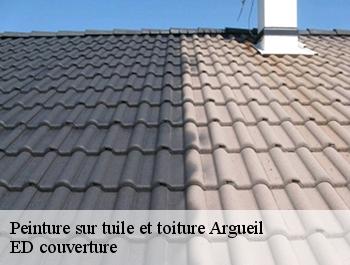 Peinture sur tuile et toiture  argueil-76780 ED couverture