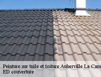 Peinture sur tuile et toiture  auberville-la-campagne-76170 ED couverture