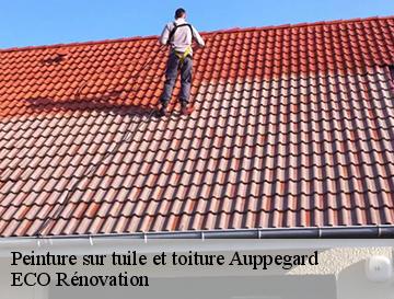 Peinture sur tuile et toiture  auppegard-76730 ECO Rénovation