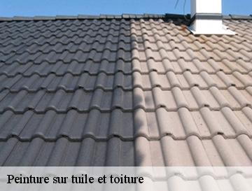 Peinture sur tuile et toiture  auppegard-76730 ECO Rénovation