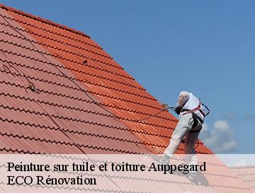 Peinture sur tuile et toiture  auppegard-76730 ECO Rénovation