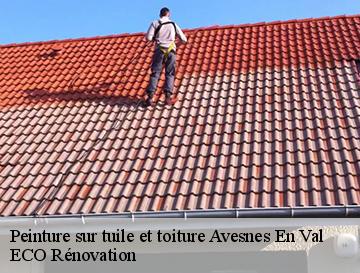 Peinture sur tuile et toiture  avesnes-en-val-76630 ECO Rénovation