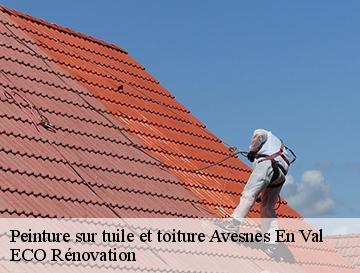 Peinture sur tuile et toiture  avesnes-en-val-76630 ECO Rénovation