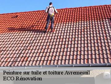 Peinture sur tuile et toiture  avremesnil-76730 ECO Rénovation