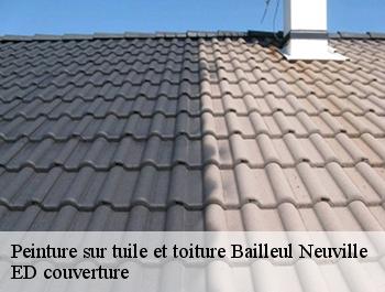 Peinture sur tuile et toiture  bailleul-neuville-76660 ED couverture