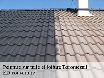 Peinture sur tuile et toiture  baromesnil-76260 ED couverture