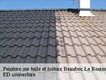 Peinture sur tuile et toiture  beaubec-la-rosiere-76440 ED couverture