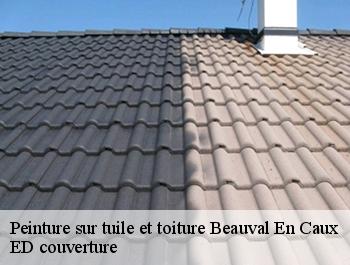 Peinture sur tuile et toiture  beauval-en-caux-76890 ED couverture