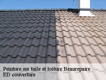 Peinture sur tuile et toiture  beaurepaire-76280 ED couverture