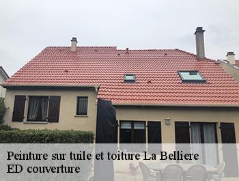 Peinture sur tuile et toiture  la-belliere-76440 ED couverture